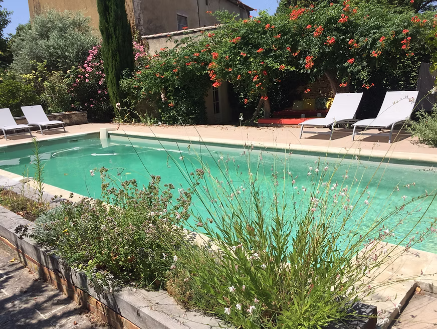 Piscine entourée de lavande